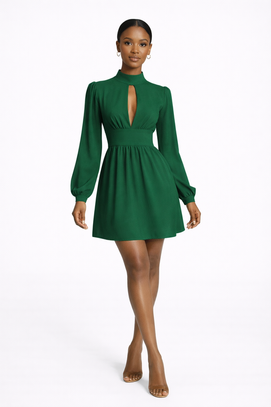 Green Long Sleeve High Collar A-Line Dress