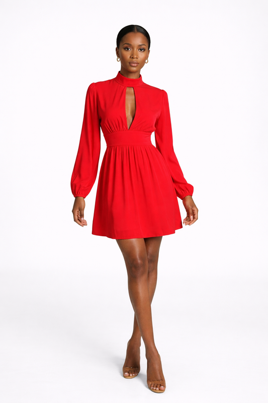 Red Long Sleeve High Collar A-Line Dress